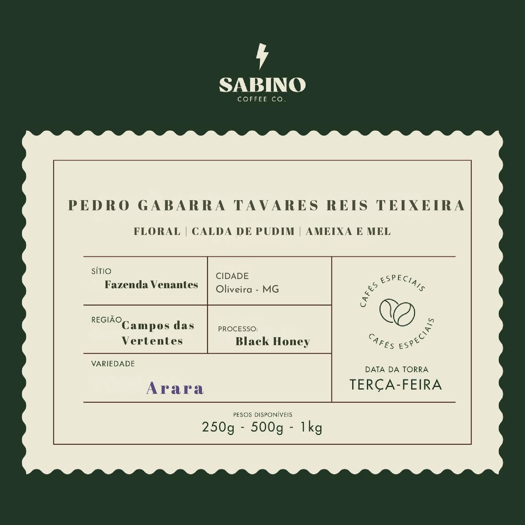 Pedro Gabarra Tavares Teixeira