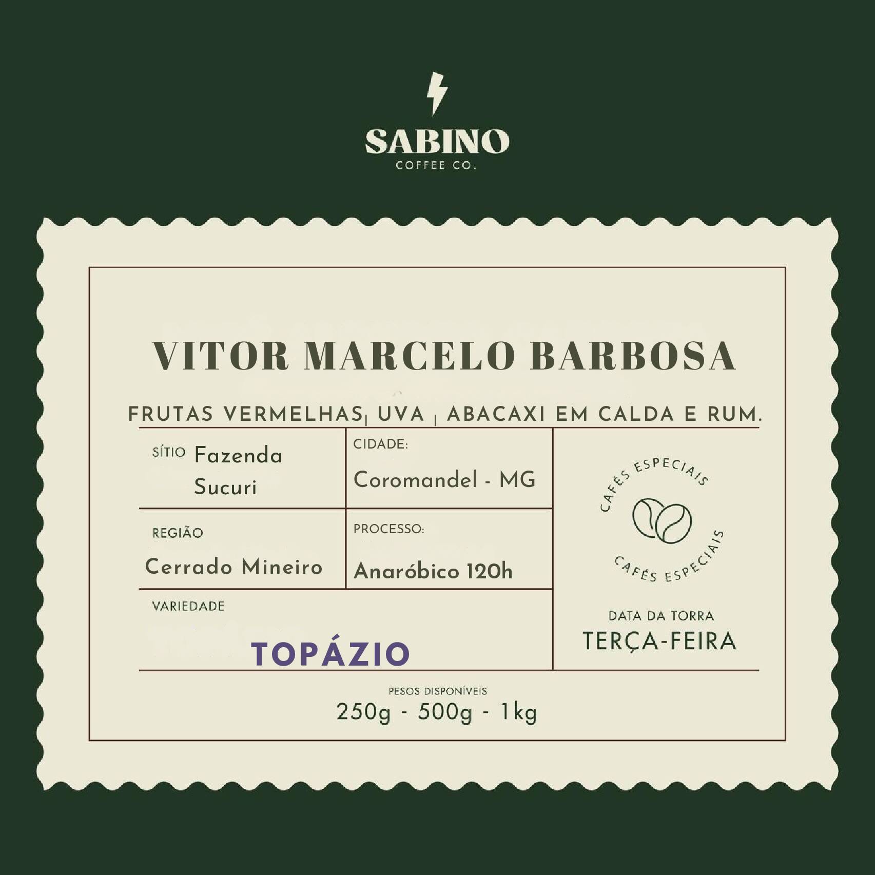 Vitor Marcelo Barbosa - 2